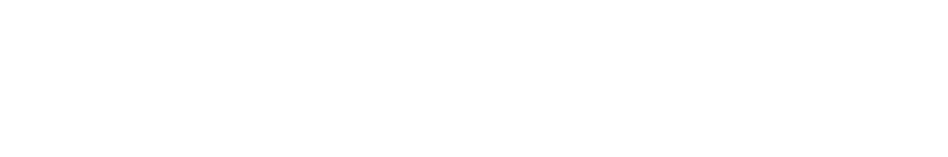 Lauer-Seele GmbH