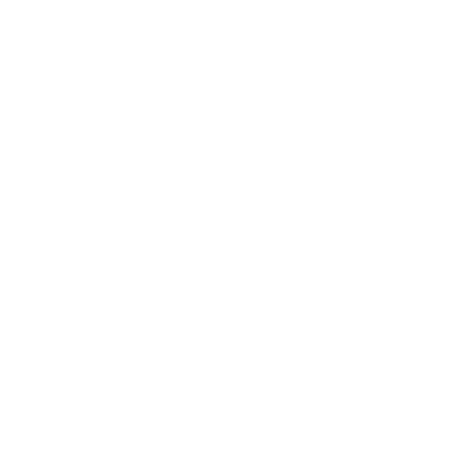 Lauer-Seele GmbH